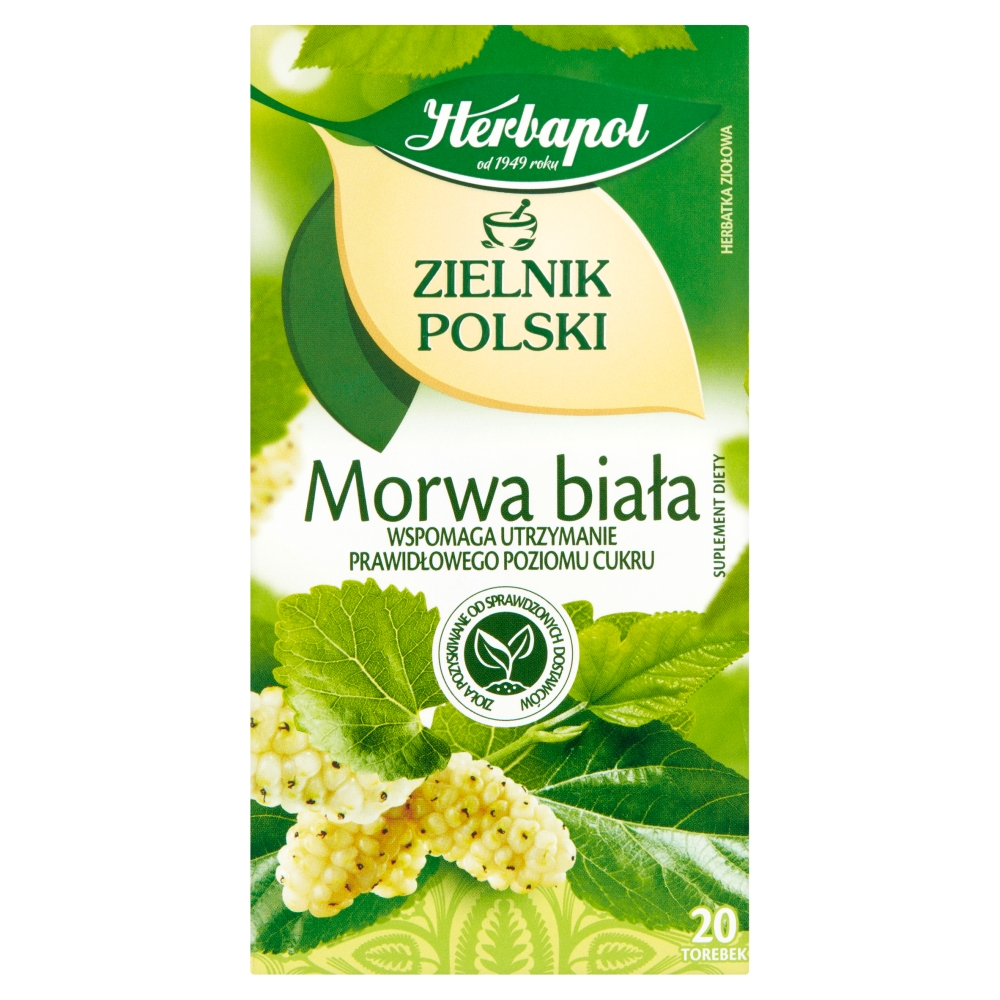 Herbata ziołowa morwa Zielnik Polski 20x2g esklep.polomarket.pl