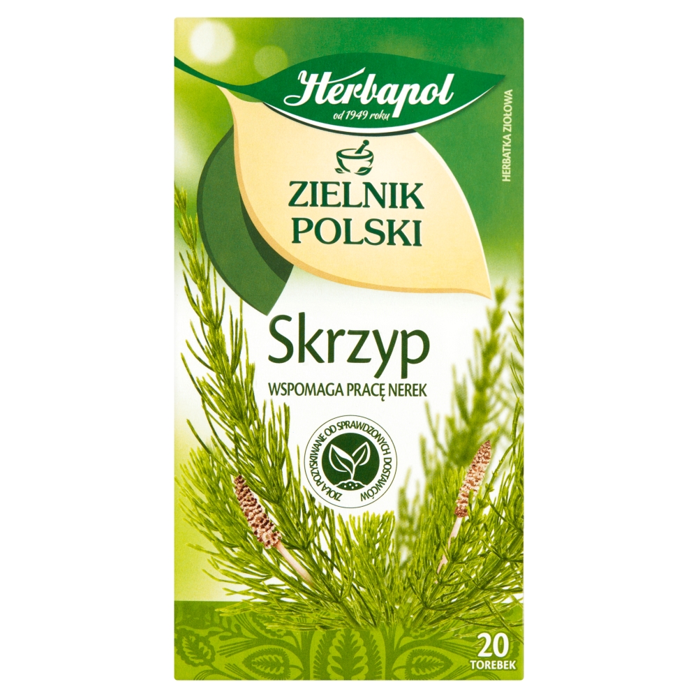 Herbata ziołowa skrzyp Zielnik Polski 20x1,8g