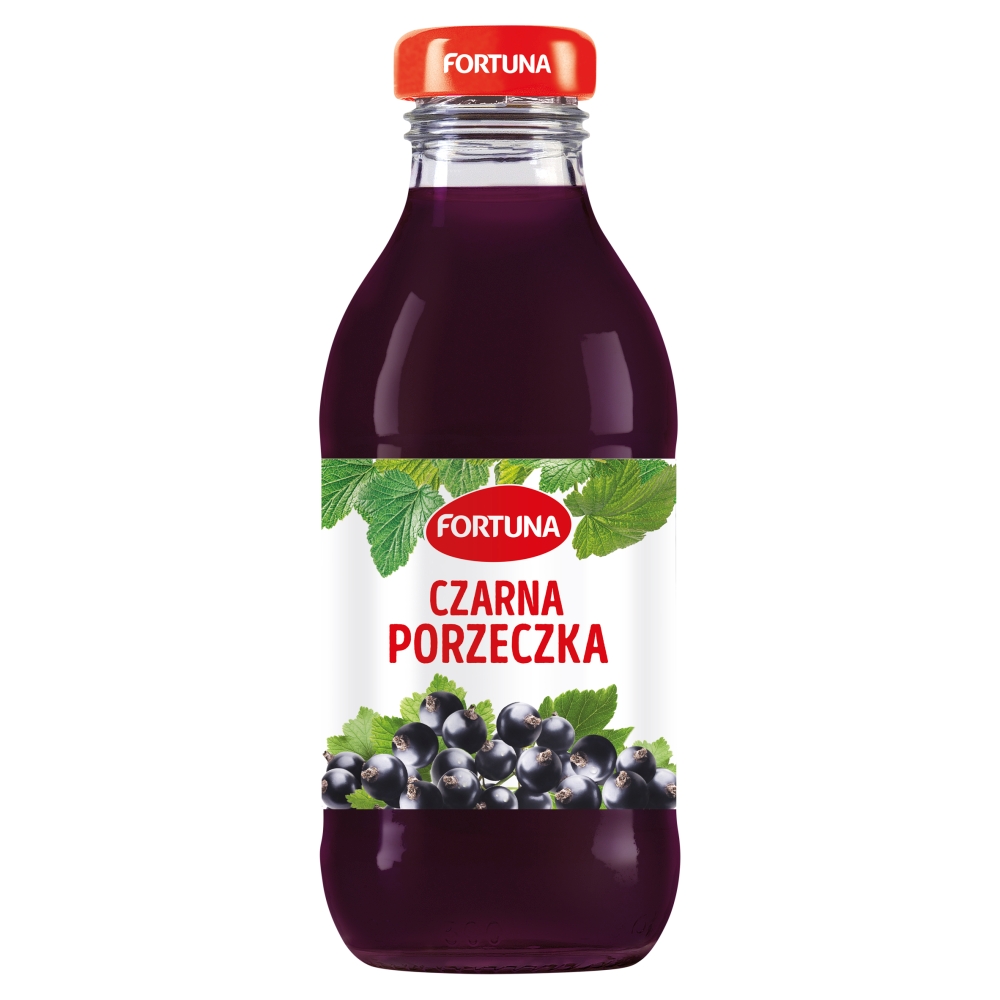 Sok/Napój Fortuna sort 1 300ml esklep.polomarket.pl