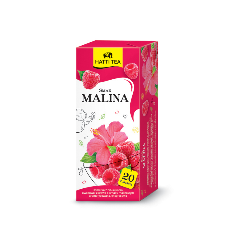 Hatti Tea herbatki owocowe sort. 20x2g