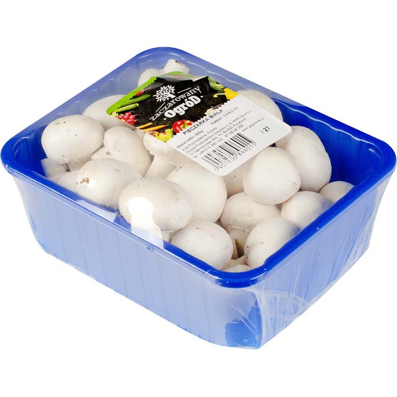 Pieczarki kubek 500g