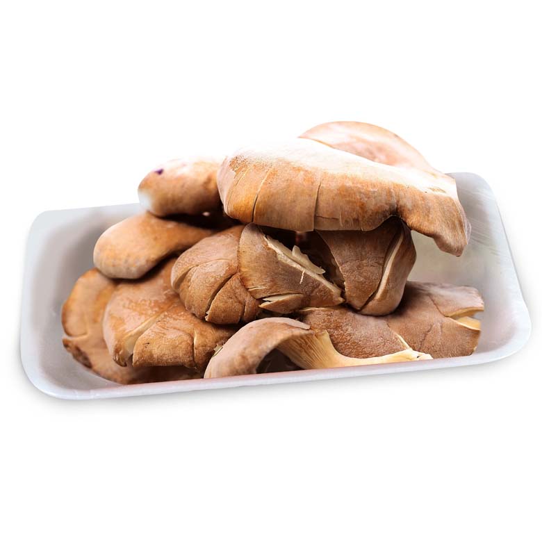 Boczniak tacka  250g