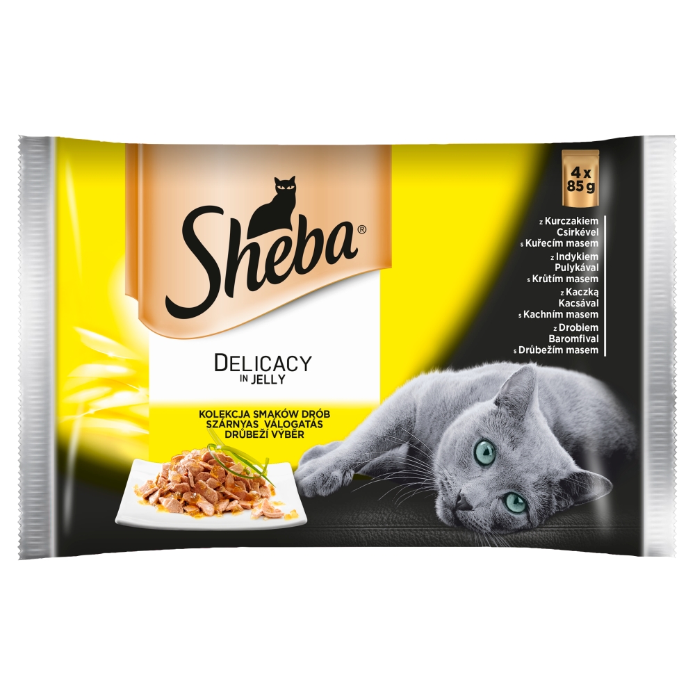 Karma dla kota o smaku drobiu Sheba Delicacy 4x85g esklep.polomarket.pl
